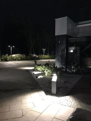 Des lampes LED à haut rendement, des lampes de cheminée en aluminium extérieur.