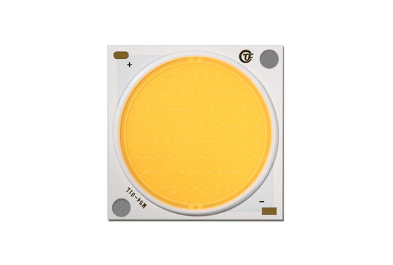 Couleur LED émettant du blanc puce COB Plein spectre de croissance 5W 7W 9W