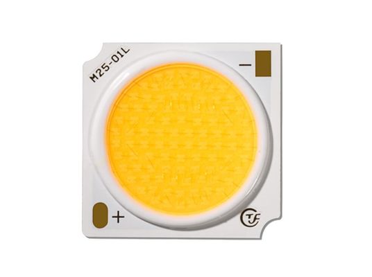 Puce LED étanche COB 30W pour éclairage couleur