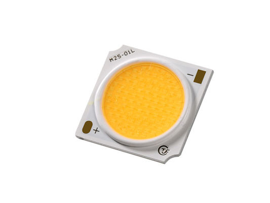 Puce LED étanche COB 30W pour éclairage couleur